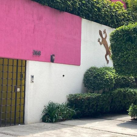 Hostal Cuija Coyoacan Berlin 268 Coyoacan Mexico Extérieur photo