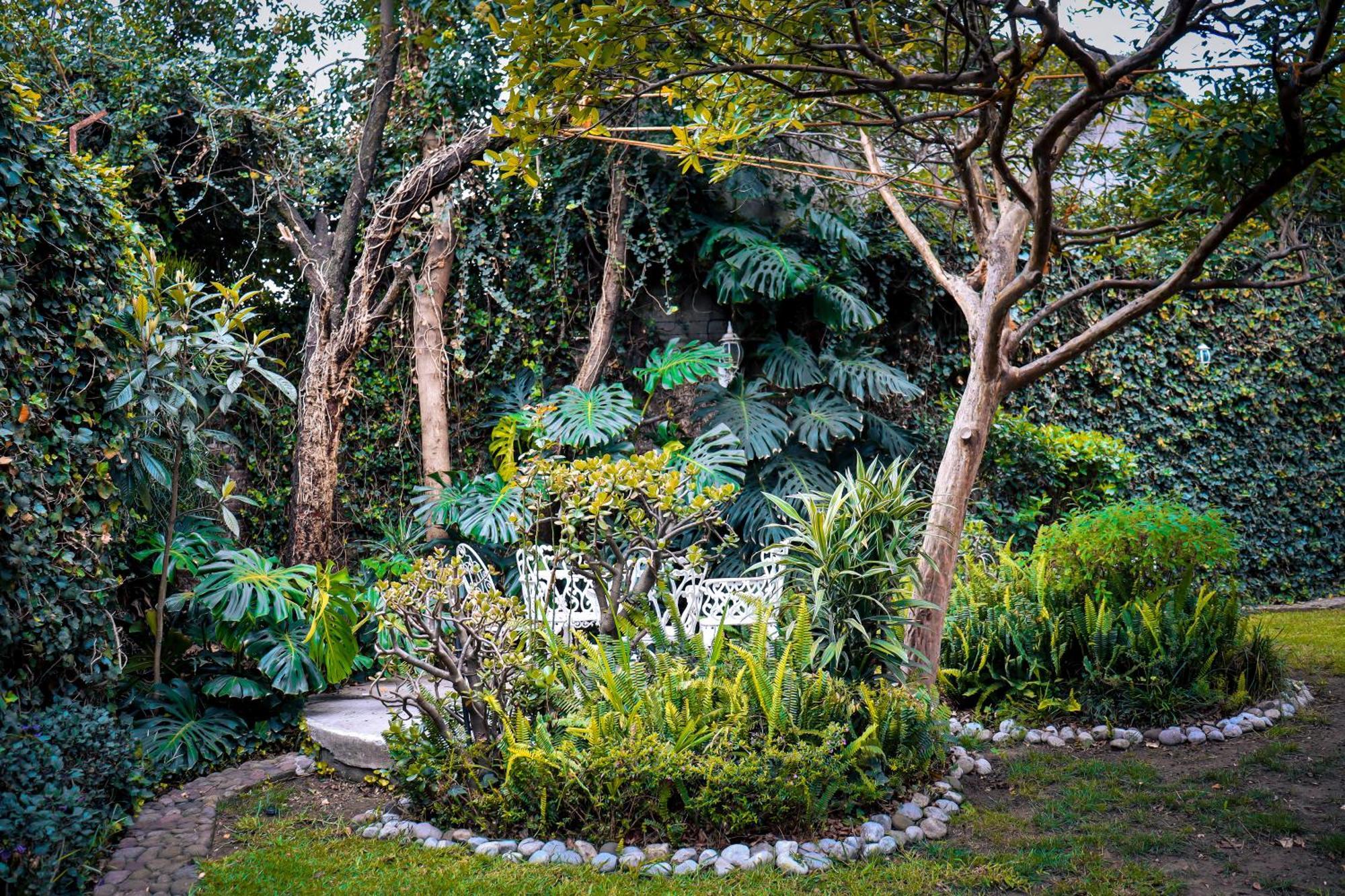 Hostal Cuija Coyoacan Berlin 268 Coyoacan Mexico Extérieur photo
