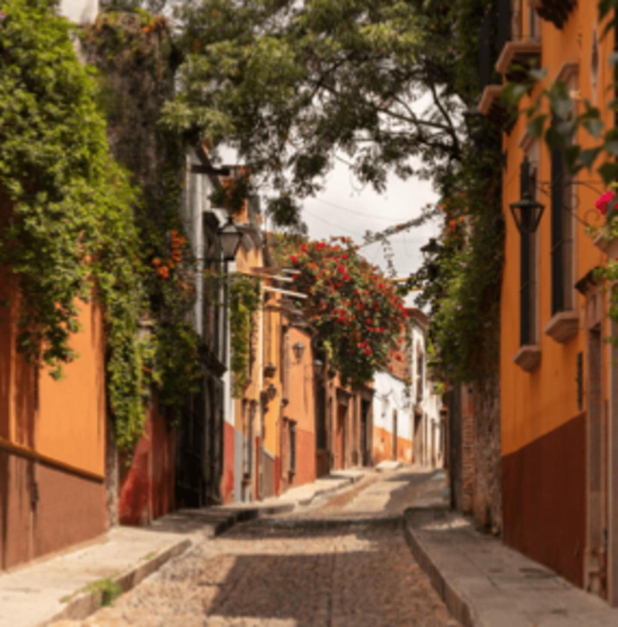 Hostal Cuija Coyoacan Berlin 268 Coyoacan Mexico Extérieur photo